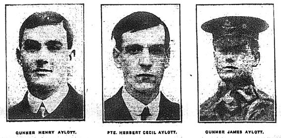 Aylott brothers